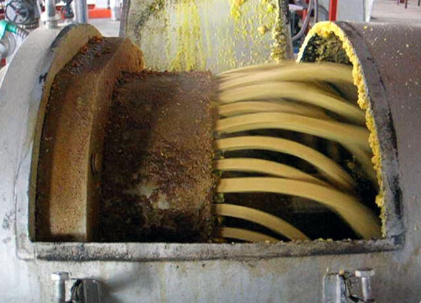 oilseed-expanding-process